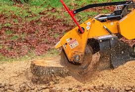 Best Firewood Processing and Delivery  in Eagle, CO